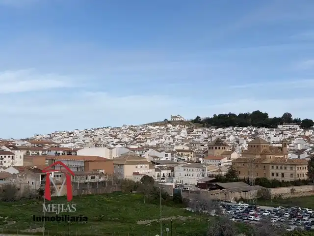 Exterior view of Houses for sale in Antequera