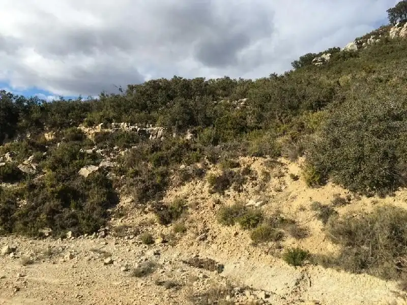 Land for sale in Tírig