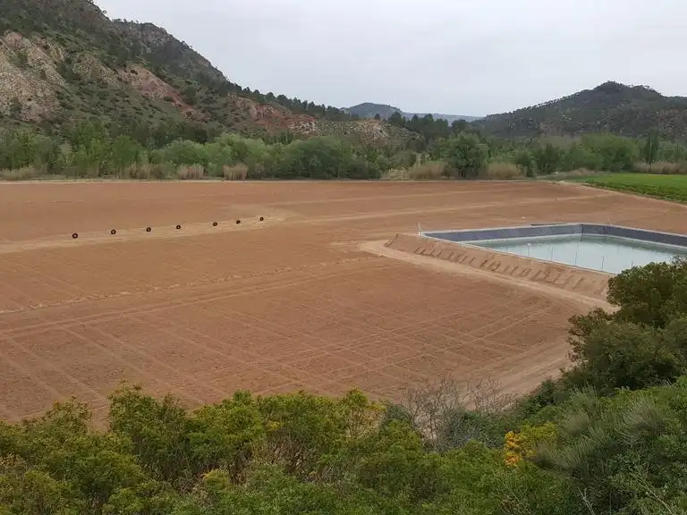 Schwimmbecken von Grundstücke zur Miete in Balsa de Ves