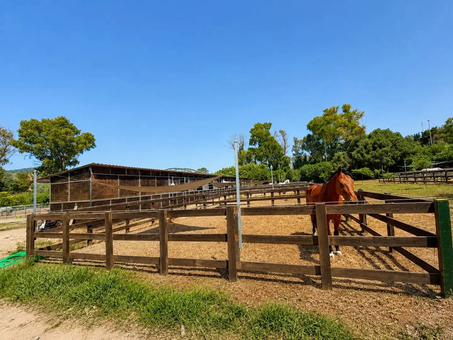 Casa rústica en venda a San Roque Pueblo, imagen 2