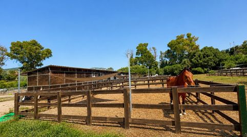 Foto 2 de Finca rústica en venta en San Roque Pueblo, San Roque