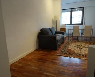 Sala d'estar de Apartament de lloguer en  Madrid Capital amb Aire condicionat, Calefacció i Parquet