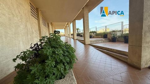 Foto 3 de Àtic en venda a La Granja - La Colina - Los Pastores, Algeciras