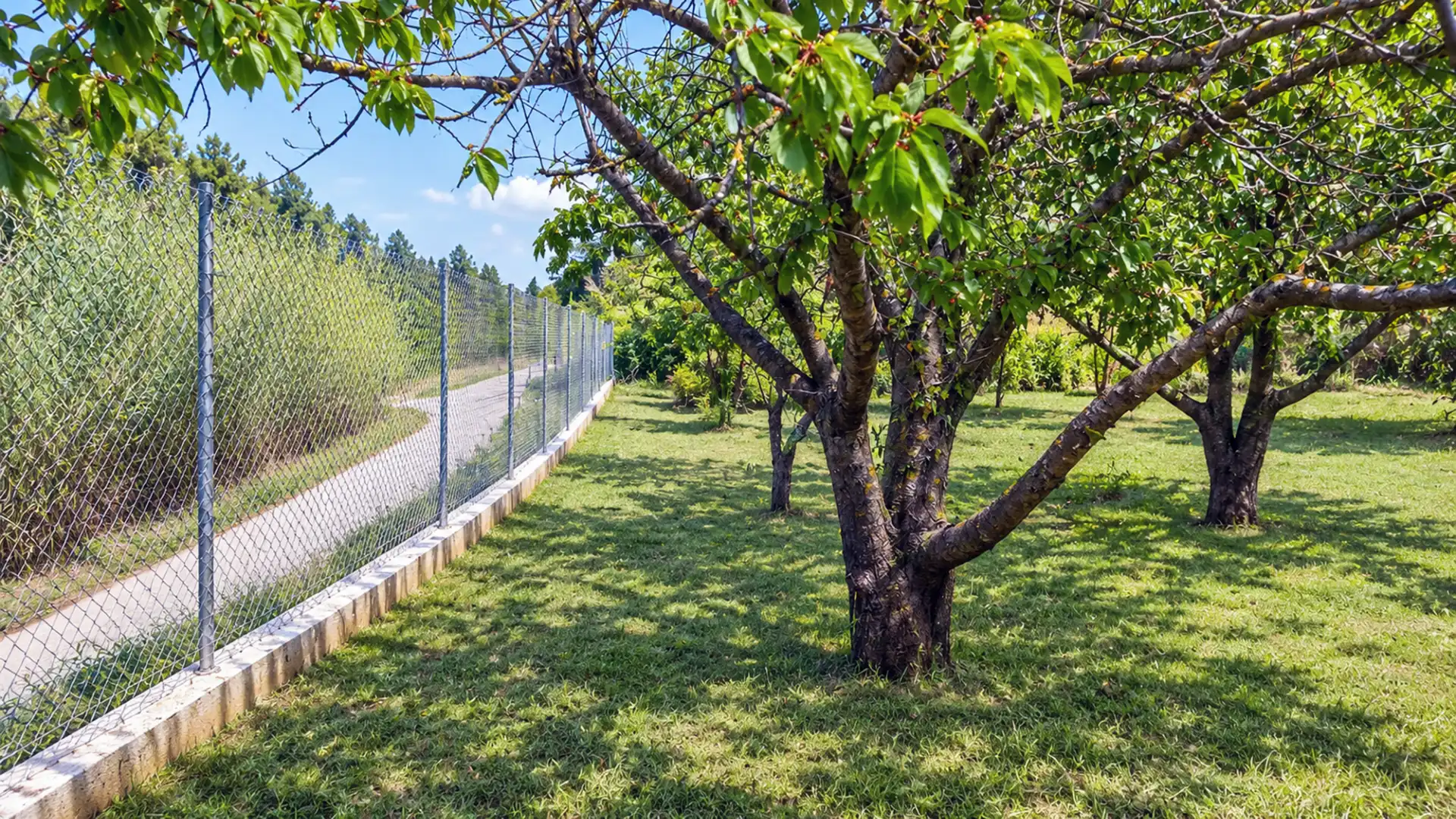 Residential land for sale in Beceite, imagen 33