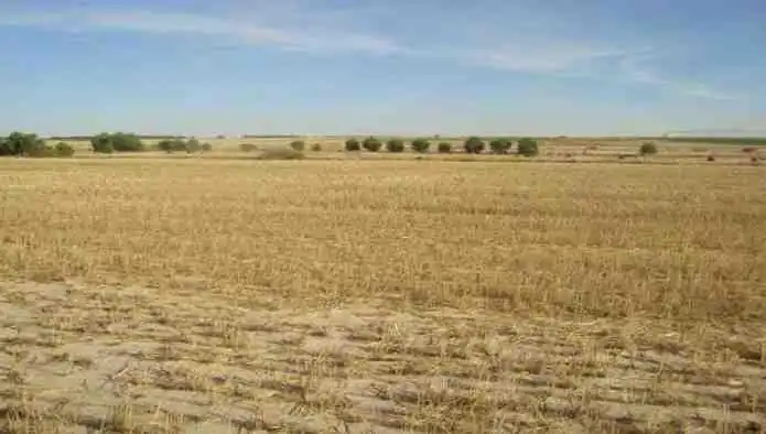 Rustikales Grundstück zum Verkauf in La Zarza (Valladolid)