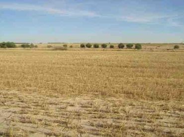 Terreny rústic en venda a La Zarza (Valladolid)