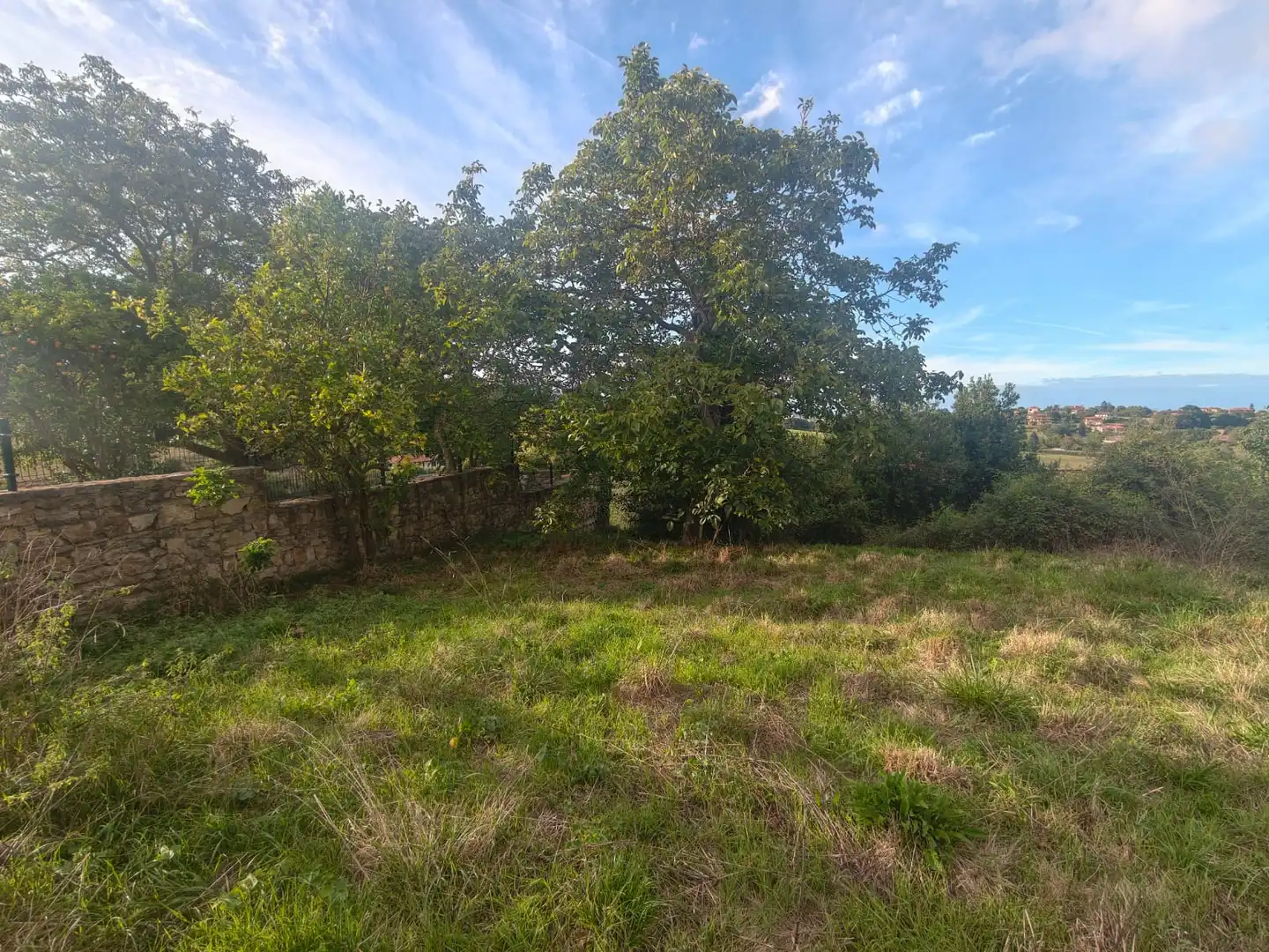 Terreno residencial en venta en Camino de La Pedrera 17, imagen 7