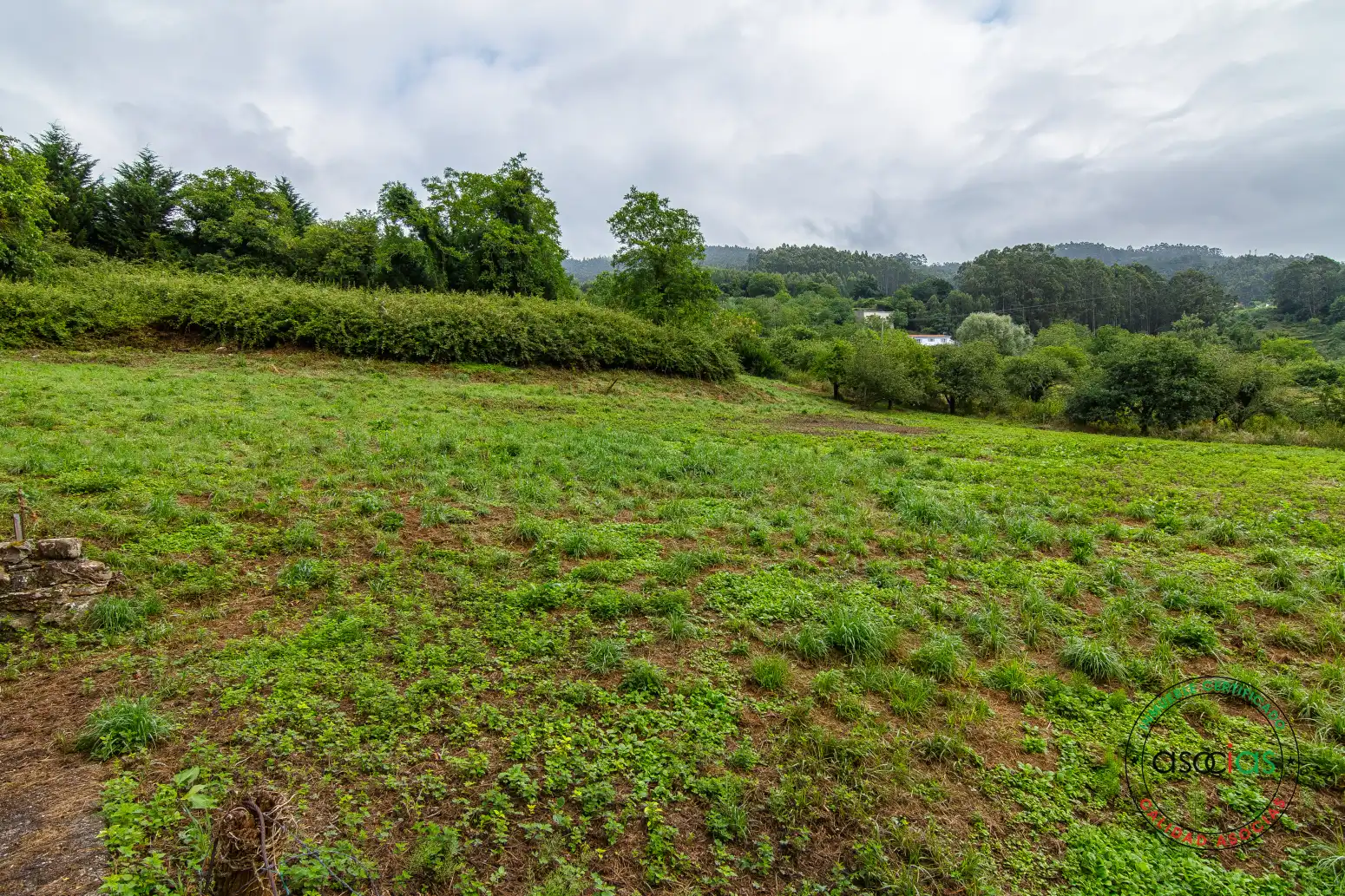 Terreno rustico in vendita a Villaviciosa - Polígono 136 Parcela 72 CUADRO L. VILLAVICIOSA ASTURIAS, imagen 30