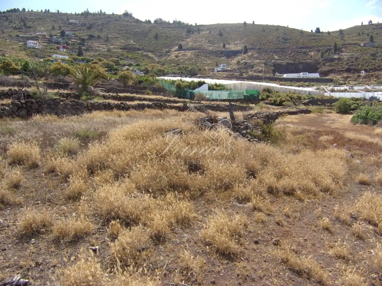 Finca rústica en venta en Tijarafe