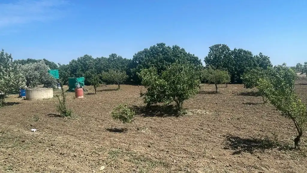 Rustikales Grundstück zum Verkauf in Las Lagunas - Campano