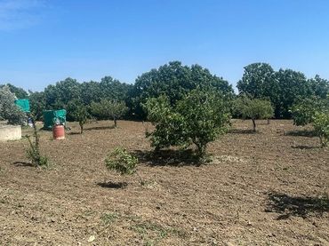 Terreno rustico in vendita a Las Lagunas - Campano