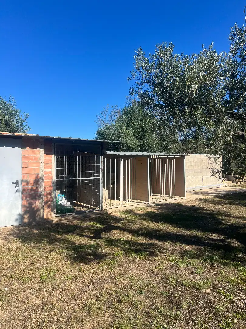 Vista exterior de Finca rústica en venta en Botarell con Jardín privado, Trastero y Amueblado