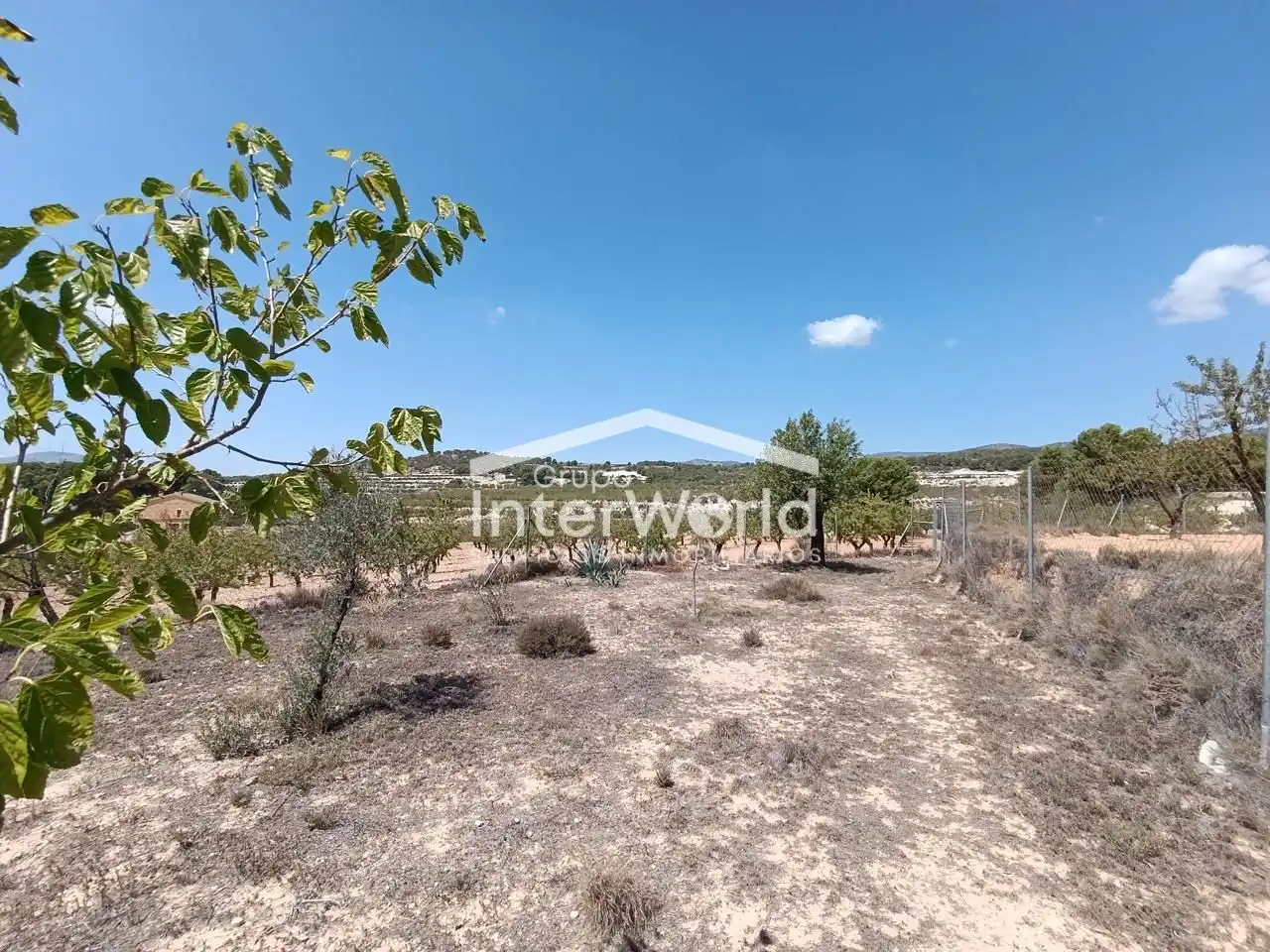 Country homes for sale in Ibi