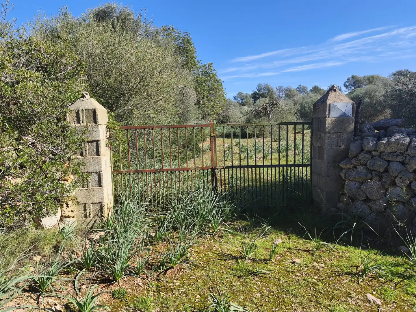 Terreno residencial en venta en Carrer Ruberts 24, imagen 17