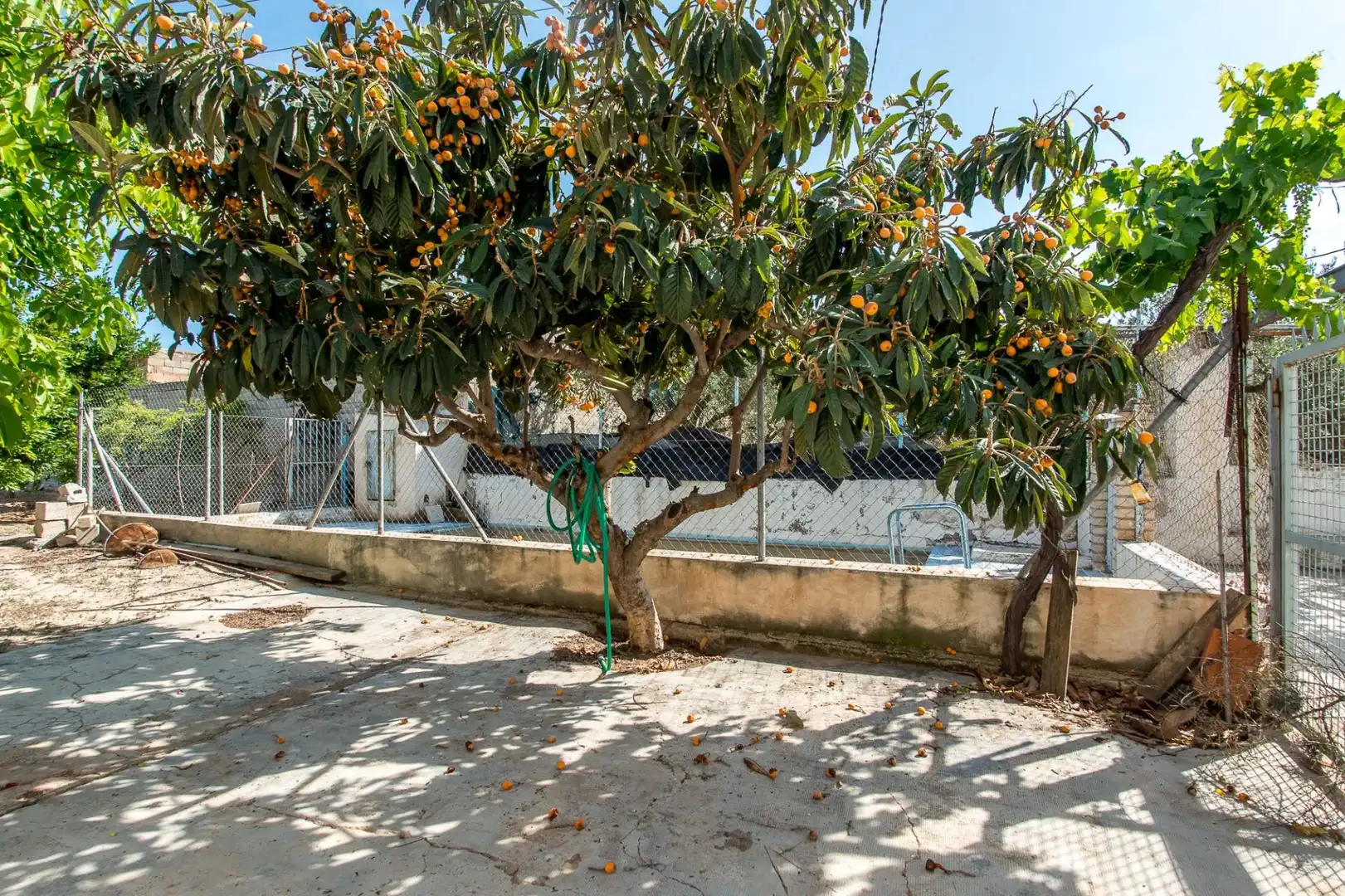 Jardí de Casa o xalet en venda en Cehegín amb Piscina i Moblat