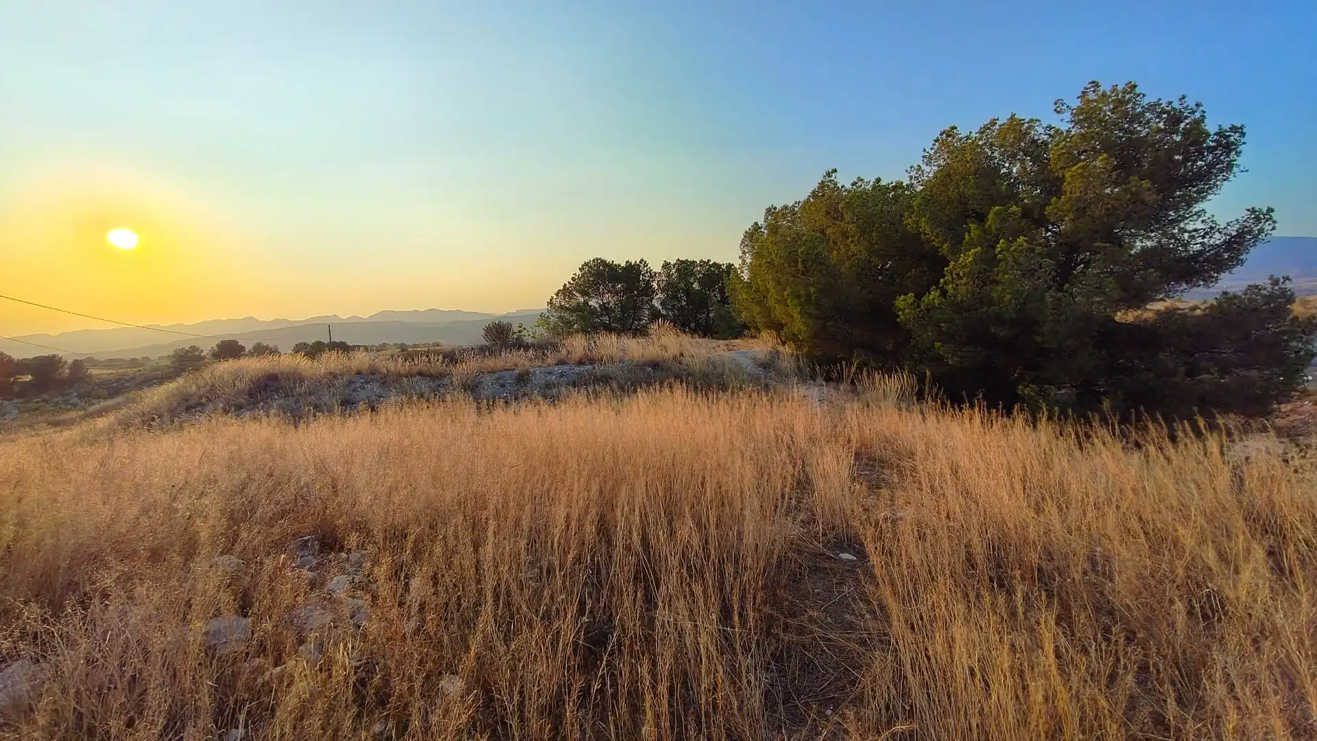 Terreno rustico in vendita a Jumilla, imagen 7