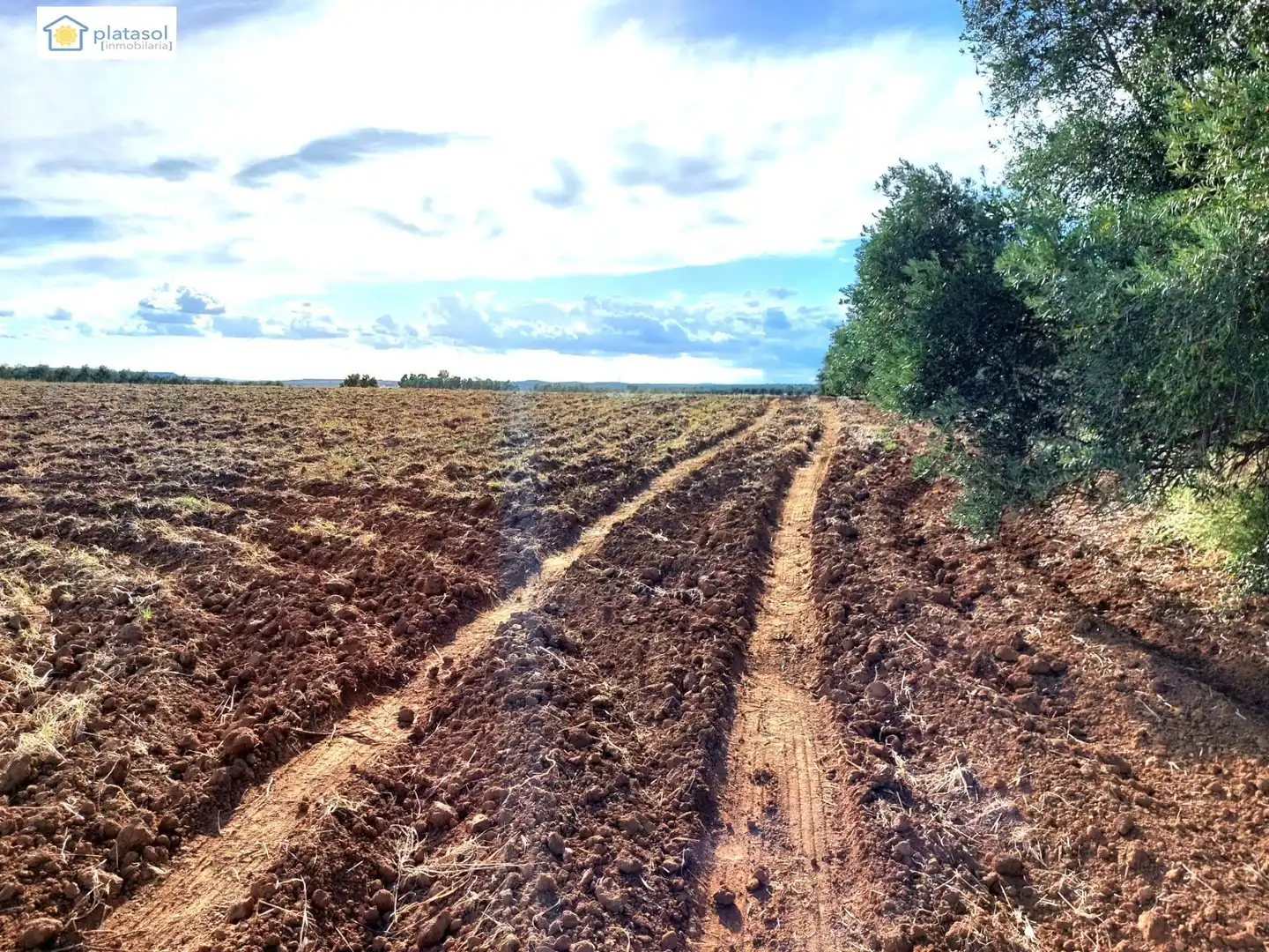 Terreni e lotti in vendita a Camino del Camino de los Arrieros, imagen 10