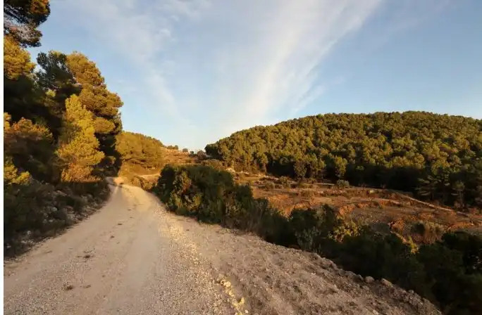 Rural land for sale in Torremanzanas / La Torre de les Maçanes, imagen 20