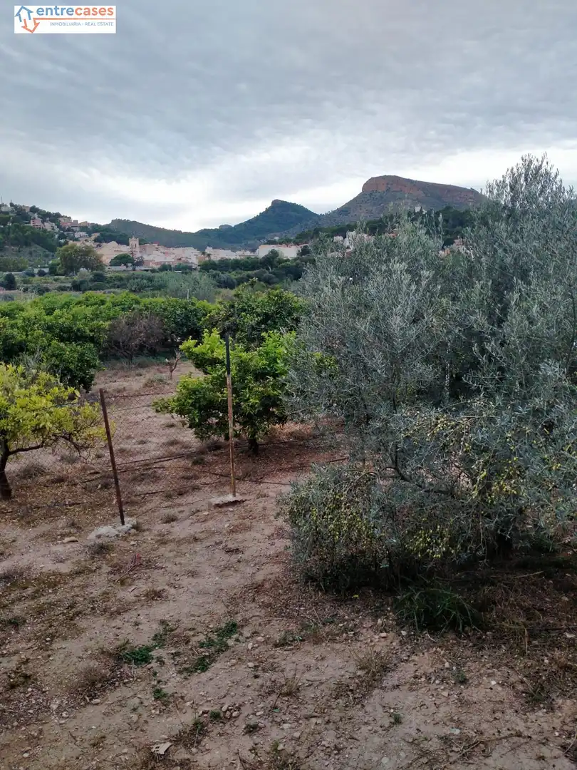 Rural land for sale in Petrés, imagen 19