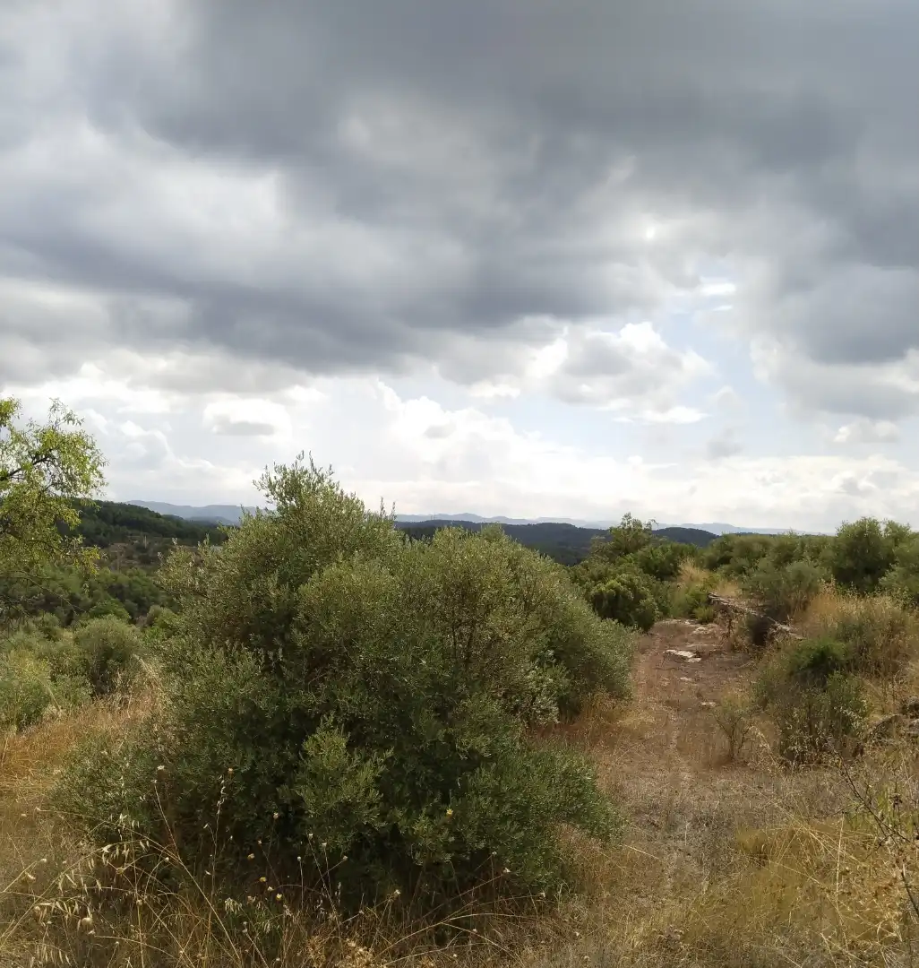 Terreno rustico in vendita a Carrer Onze de Setembre 21, imagen 11