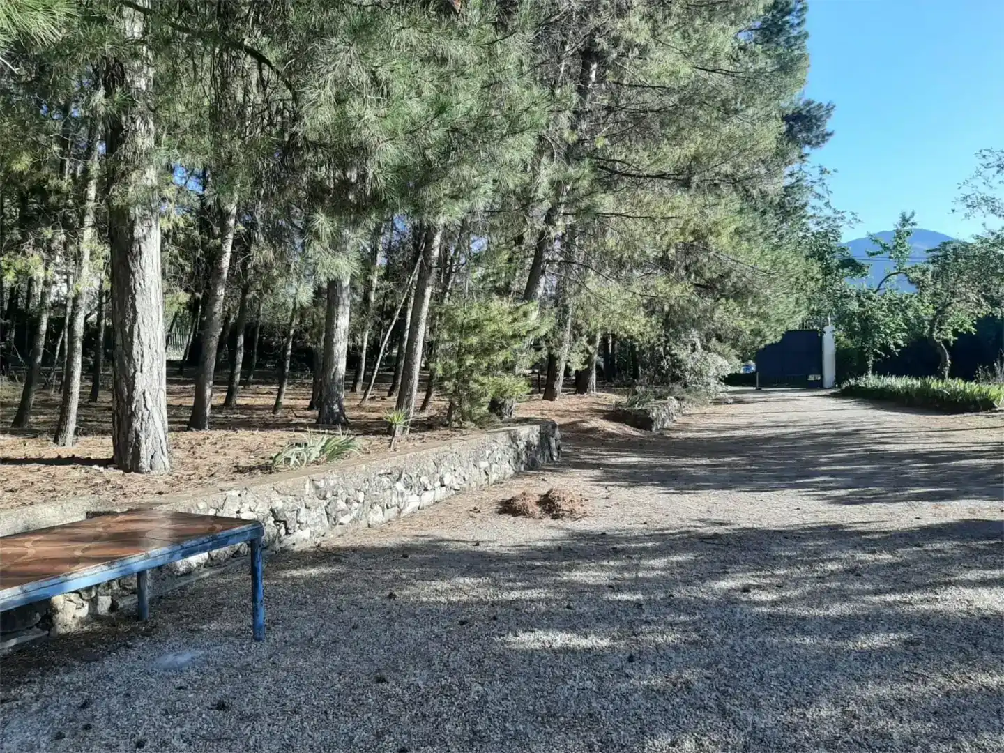Casa o xalet en venda en Quesada amb Jardí privat, Piscina i Moblat