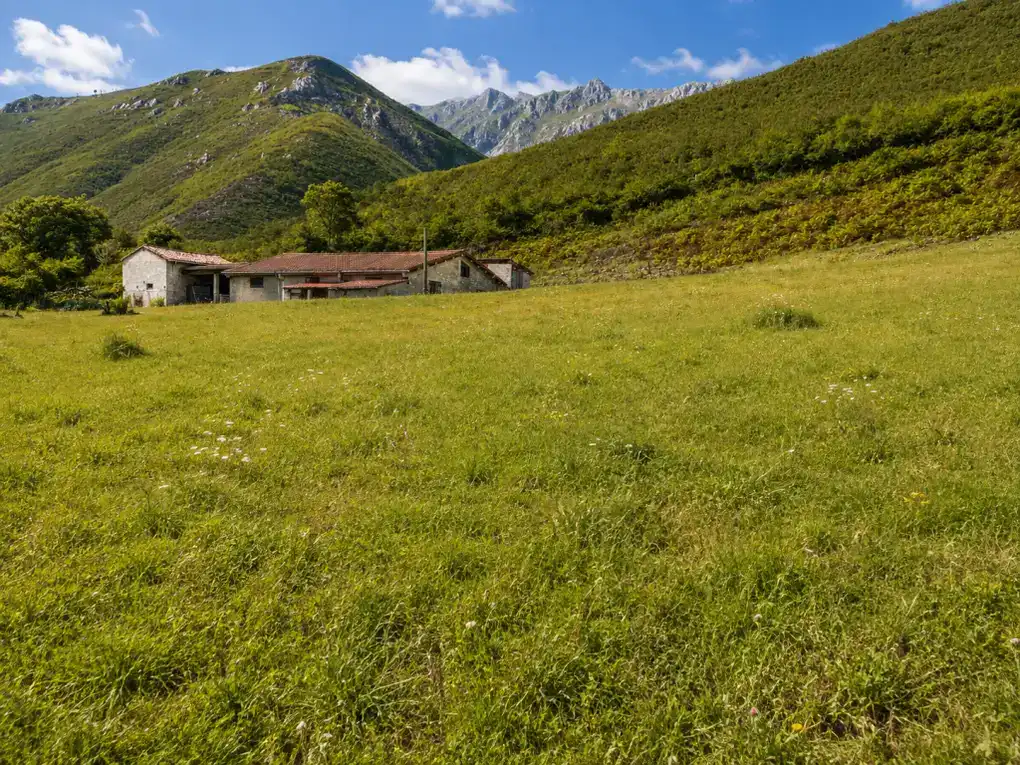 House with garden for sale in Trescares, imagen 3