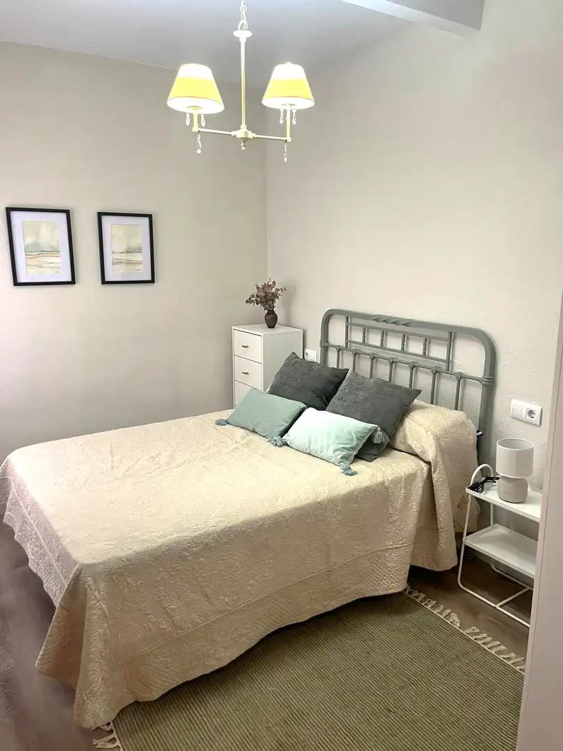 Apartments for rent in GOMEZ BECERRA, Centro