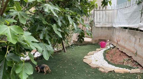 Foto 2 de Estudio de alquiler en Carrer del Grèvol, Corbera de Llobregat, Barcelona