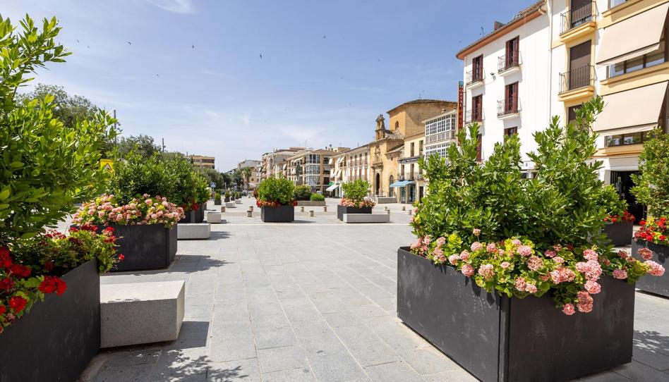 Foto 1 de Pis en venda a Alcalá la Real, Jaén