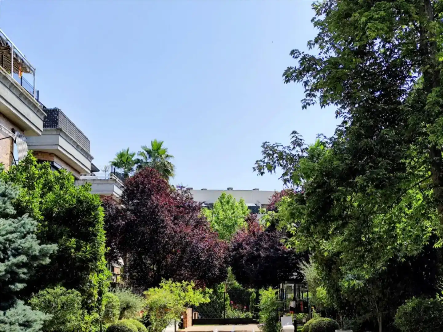 Jardí de Pis en venda en Las Rozas de Madrid amb Aire condicionat i Piscina