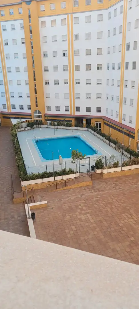 Pis amb piscina en venda a Urbanización Parque Flores, imagen 51