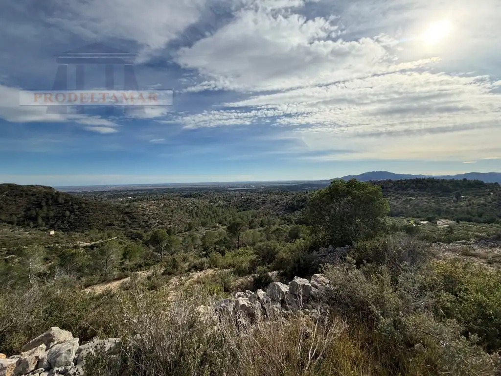 Country house for sale in Poligono 82 Paraje 6 Camp-Redo, imagen 5