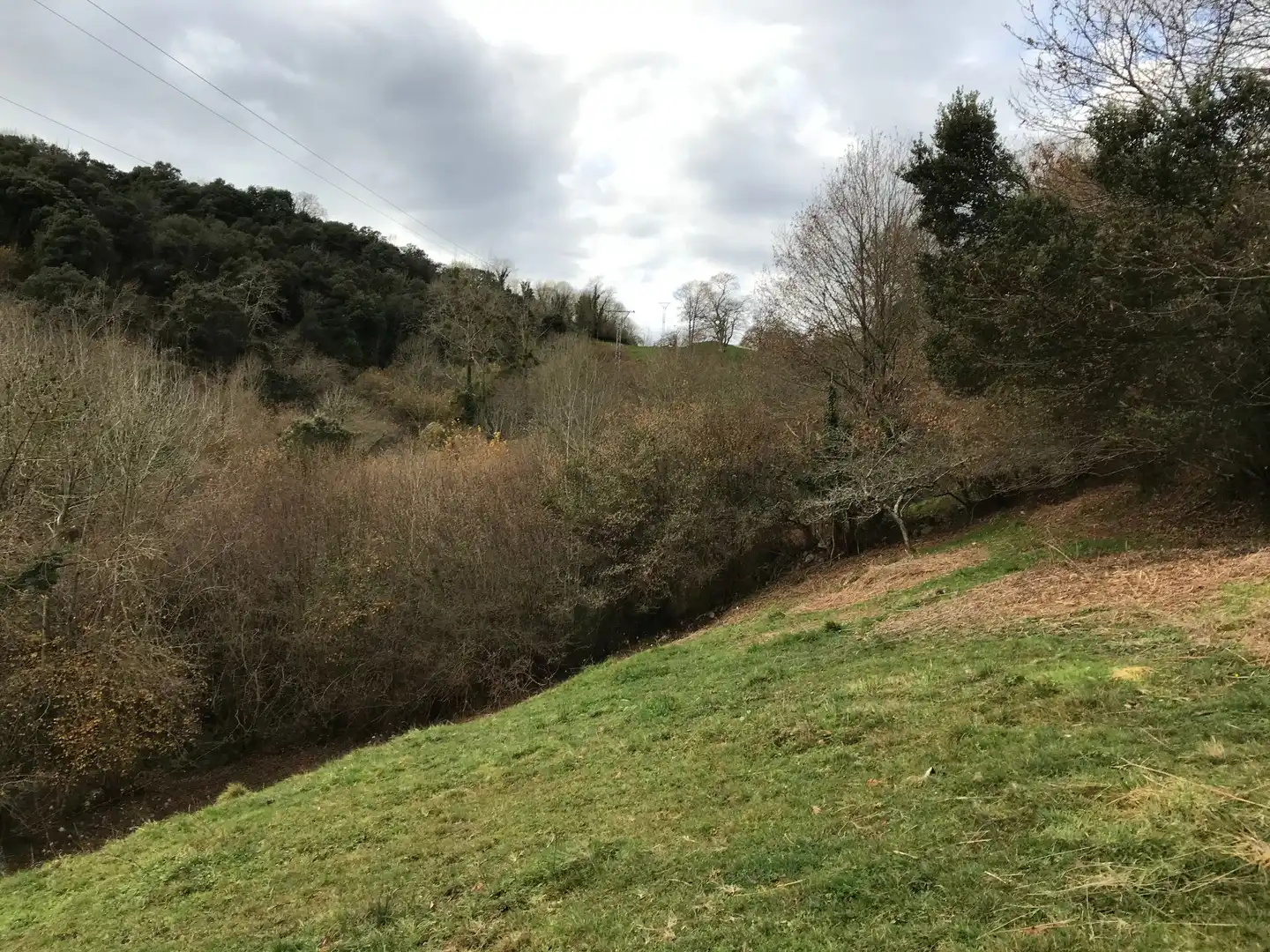 Lands and plots for sale in El Pontón, Rozagas, imagen 30