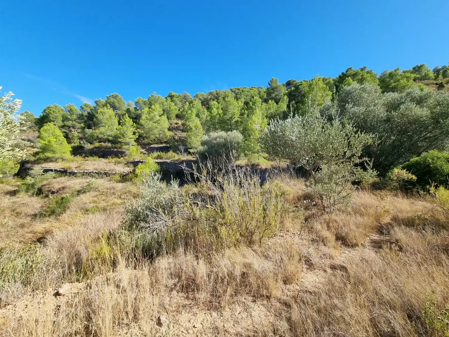 Lands and plots for sale in poligono 7 parcela 274, imagen 10