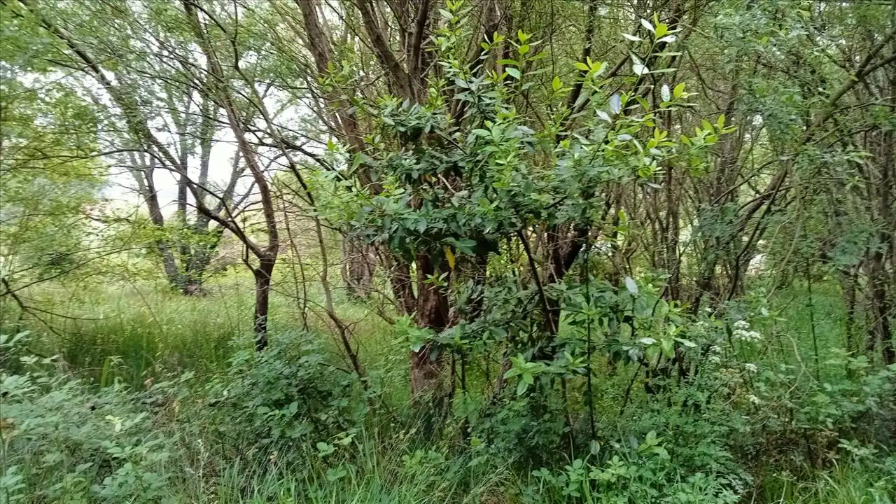 Grundstücke und Bauplätze zum Verkauf in Camposa-Beco, imagen 7
