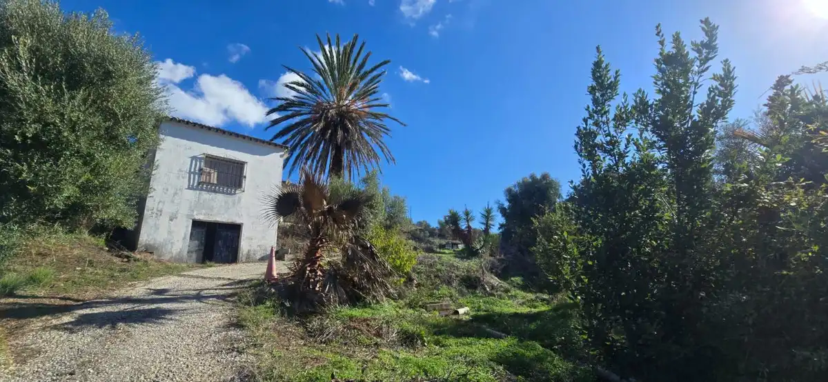 Casa rústica en venta en Estepona Pueblo, imagen 8