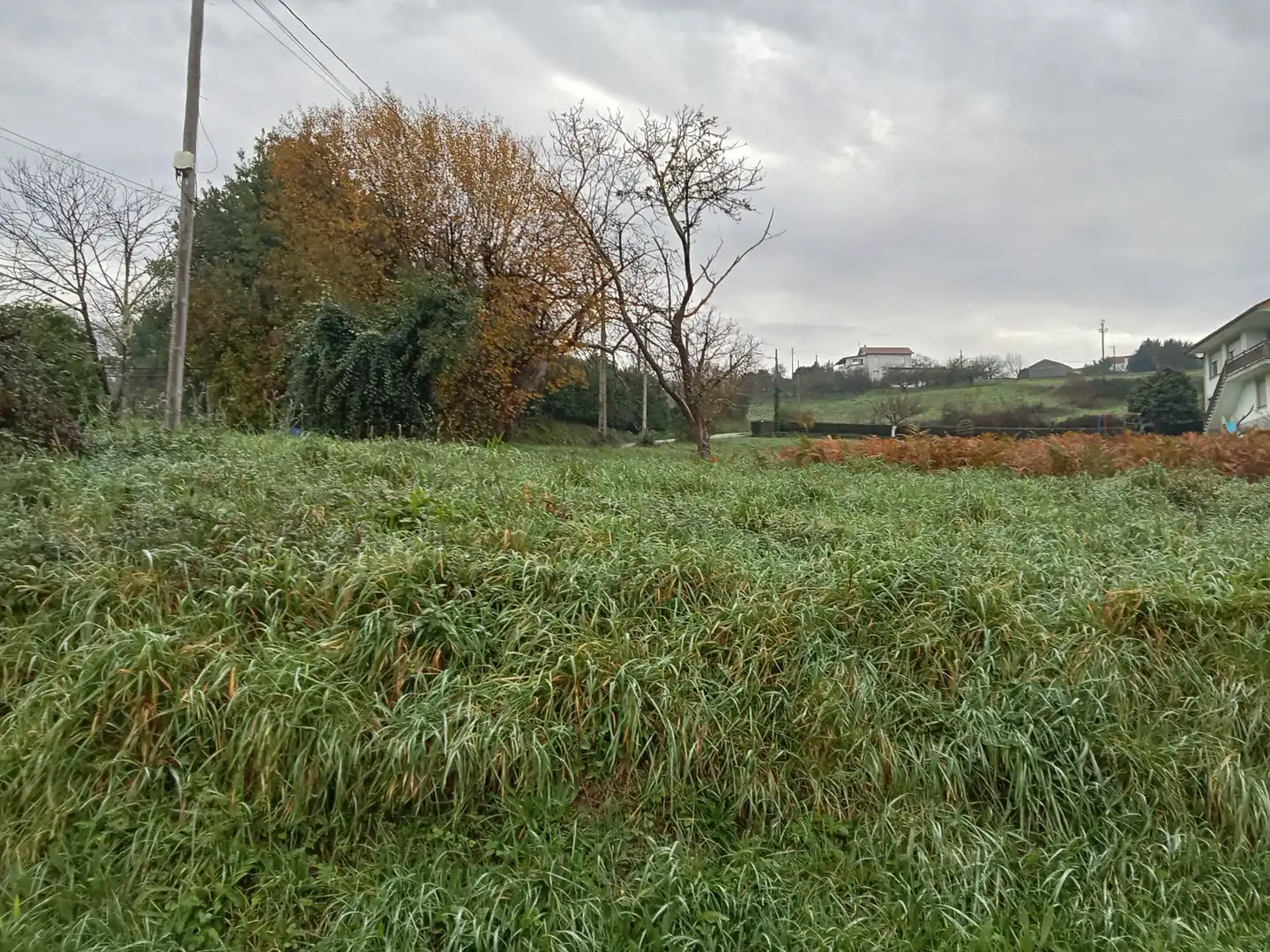 Terreni e lotti in vendita a Sedes - Pedroso - Doso, imagen 8