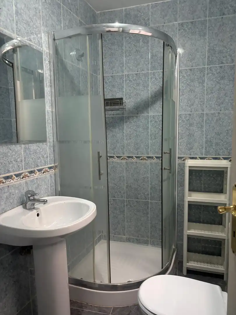 Bathroom of Flat for rent in Granada  with Furnished