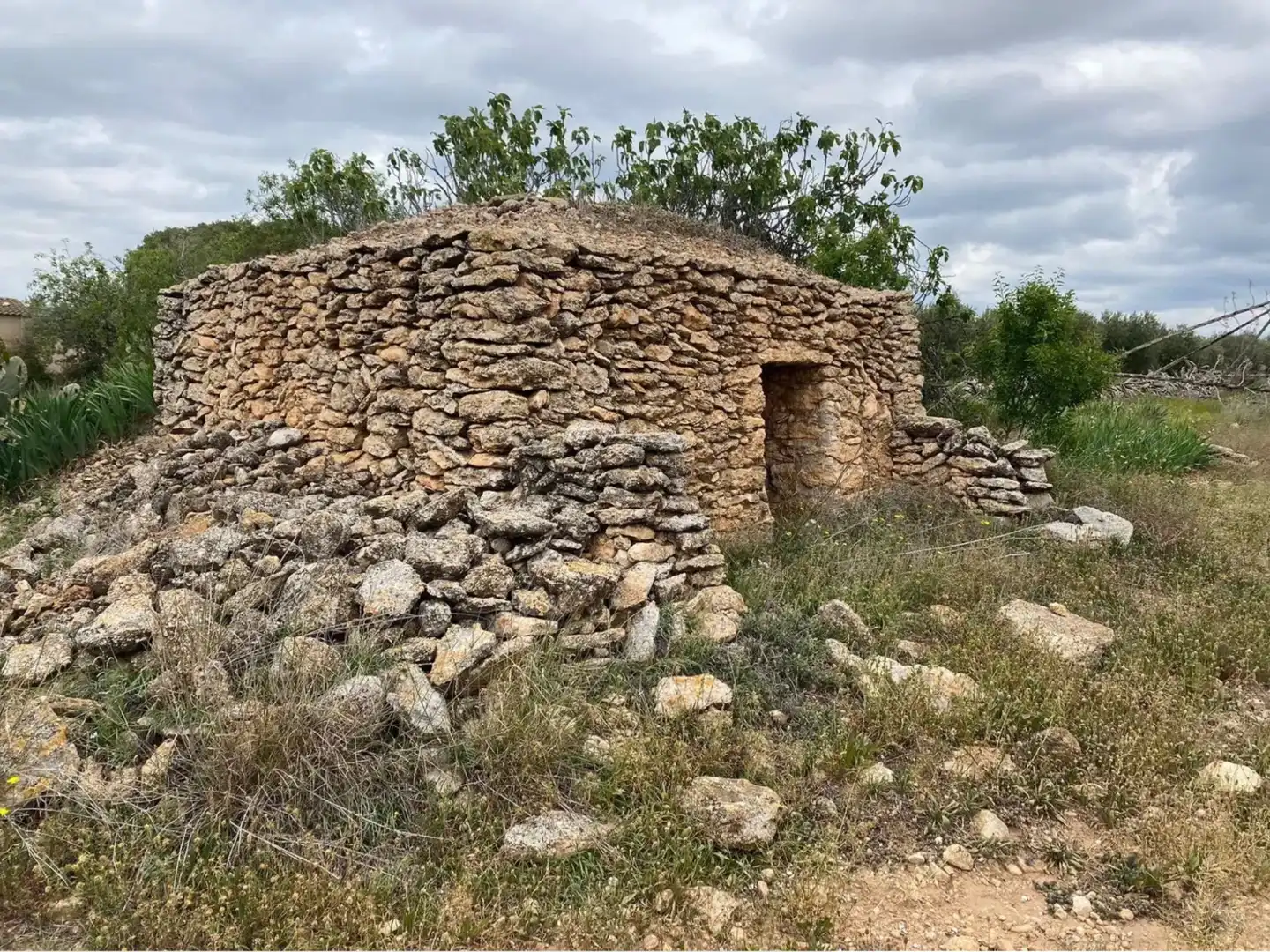Terrain rustique à vendre à Carrer dels Teixidors, imagen 3