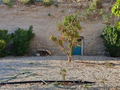 Vista exterior de Finca rústica en venda en Arico amb Traster