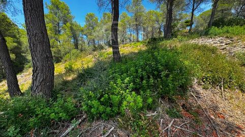 Terreno urbanizable en ptda Coll de Lalba Tortosa, imatge 3