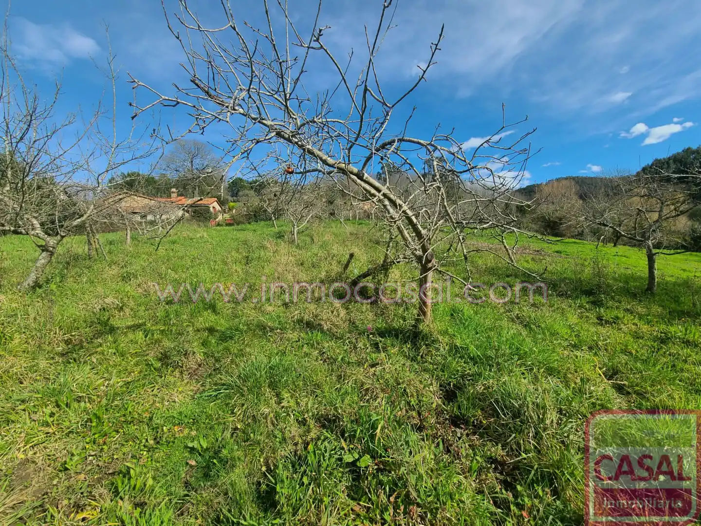 Grundstücke und Bauplätze zum Verkauf in POLIGONO 51 PARCELA 132, imagen 10