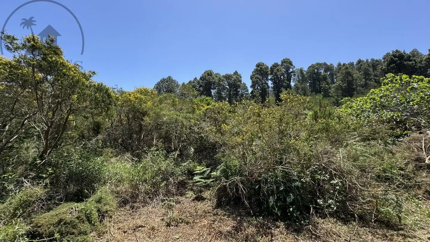 Lands and plots for sale in La Peña 1, imagen 11
