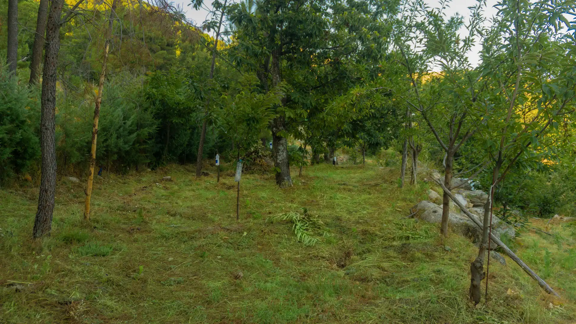 Casa o xalet en venda en El Hornillo 