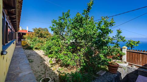 Foto 5 de Casa o xalet en venda a El Mazapé, Icod El Alto, Santa Cruz de Tenerife