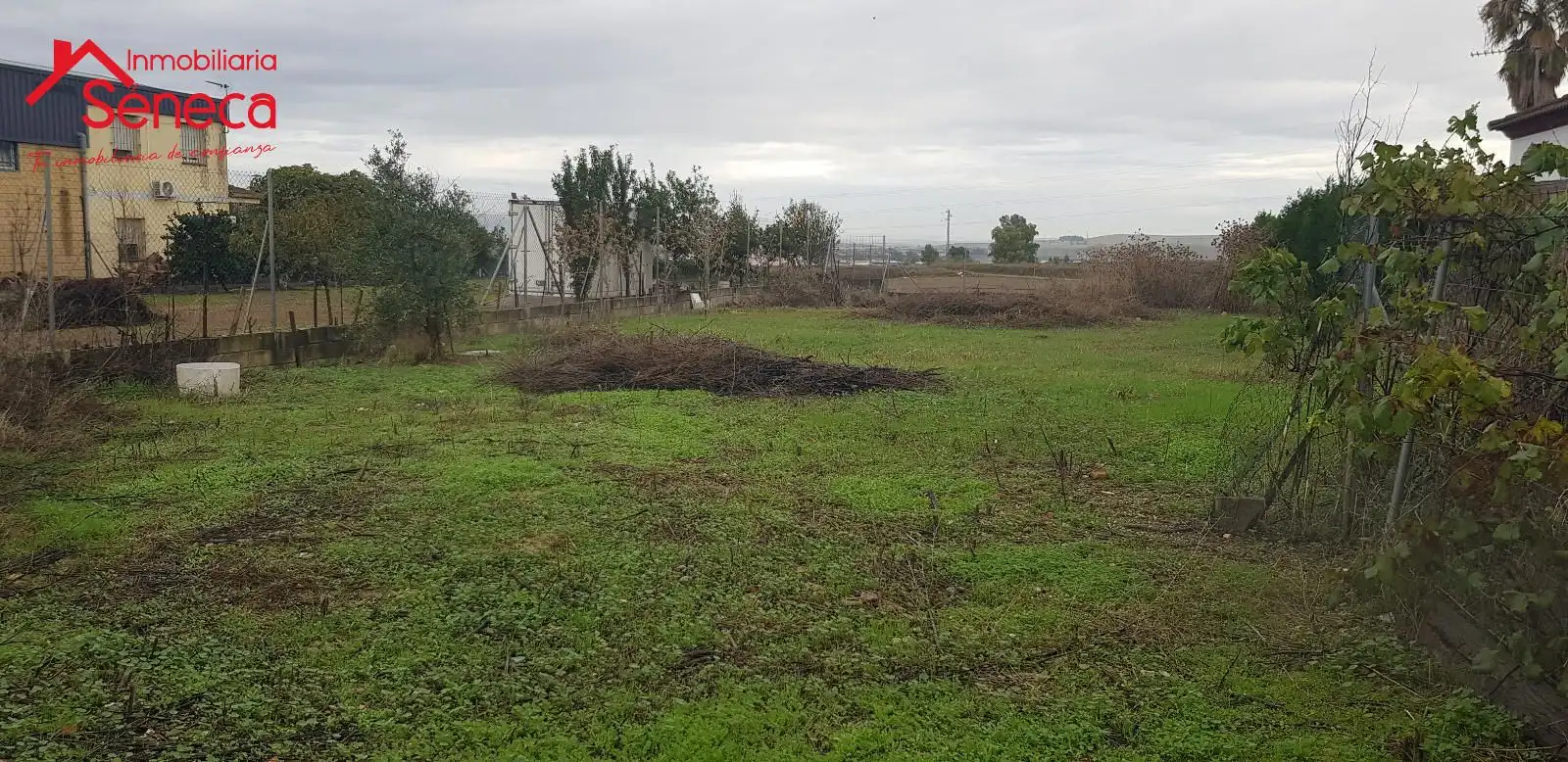 Terreny rústic en venda a MIRALQUIVIR, imagen 3