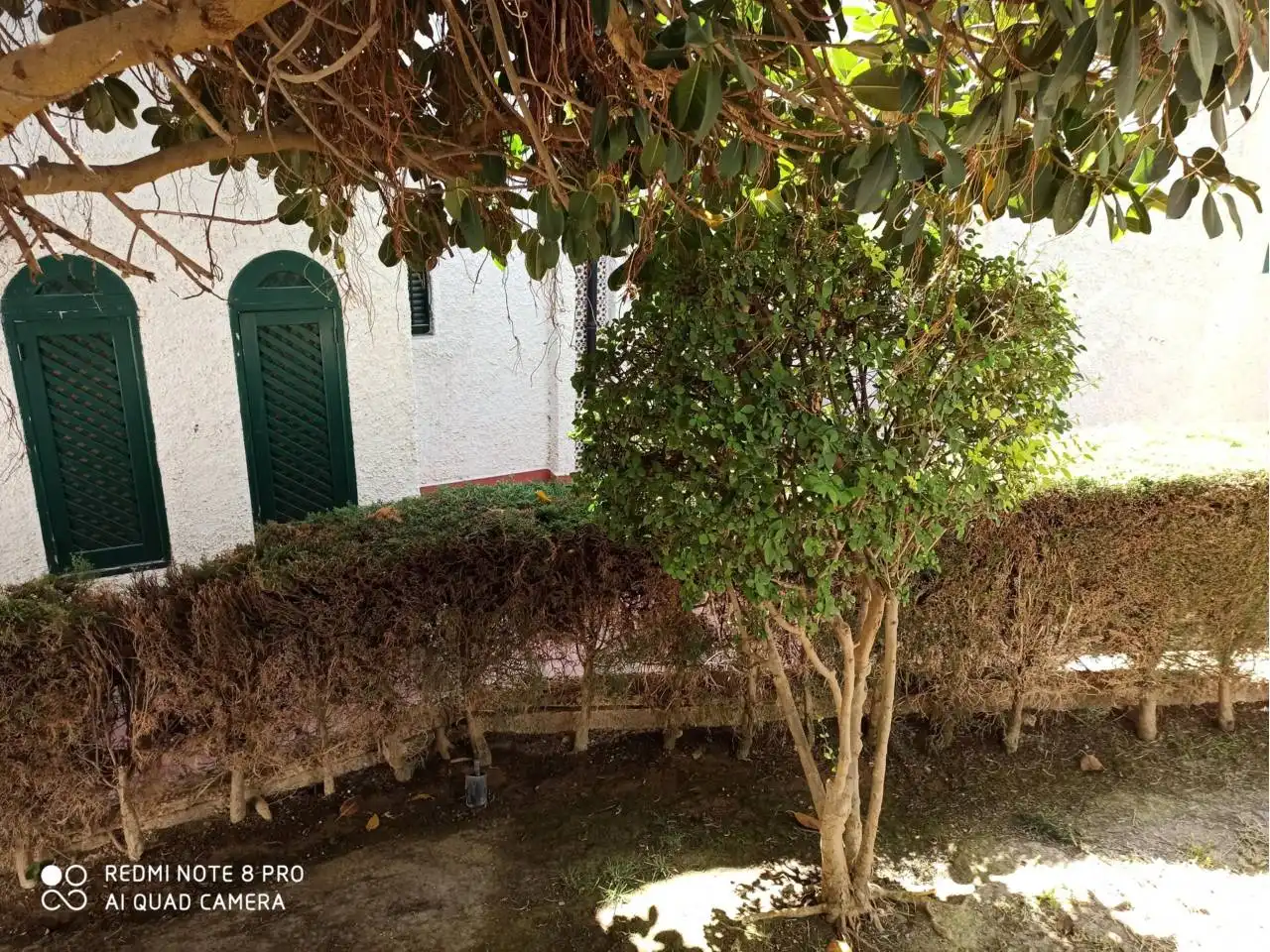 Jardín de Piso de alquiler en Mazarrón con Aire acondicionado, Calefacción y Terraza