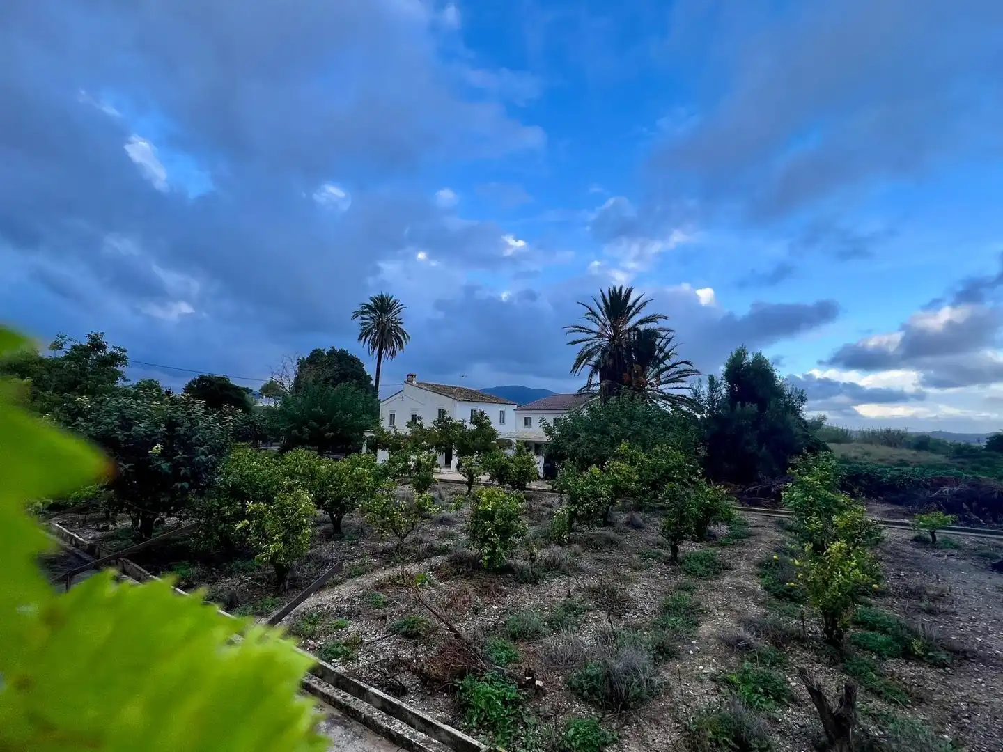 Maison avec piscine à vendre à Pego, imagen 66