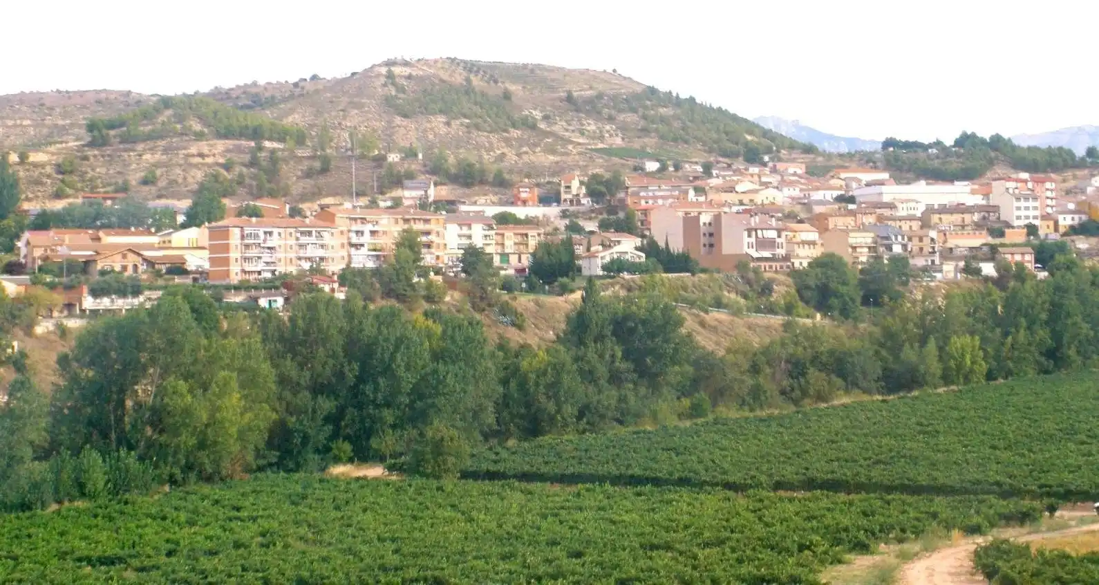 Vista exterior de Casa o chalet en venta en Lapuebla de Labarca con Trastero