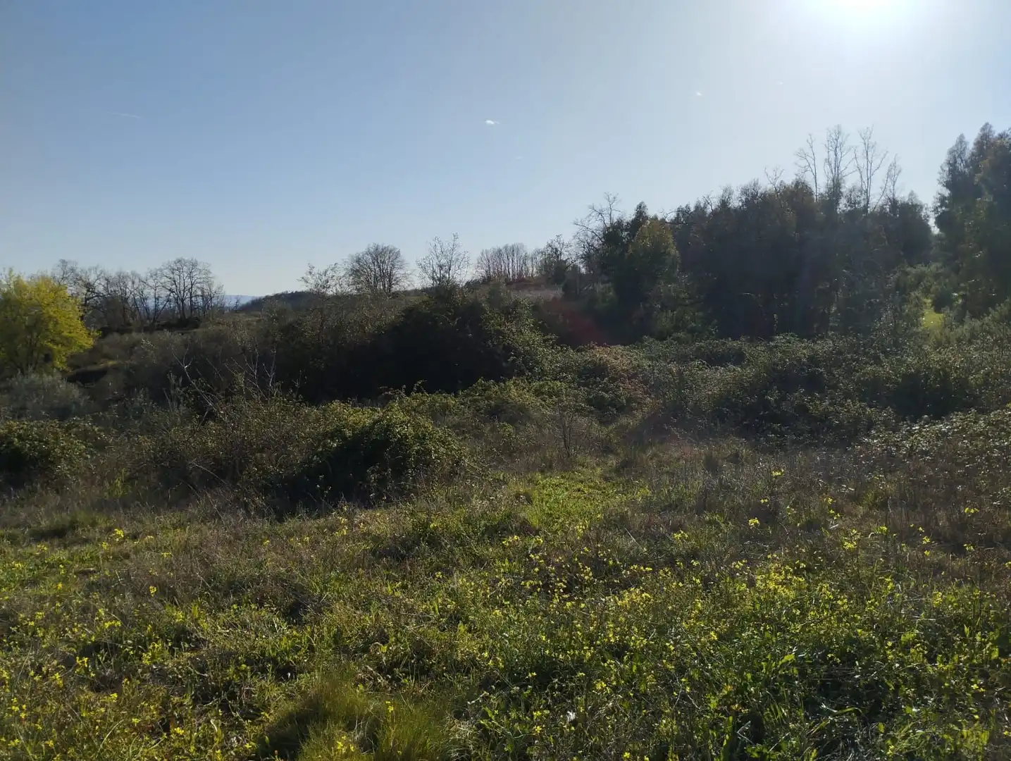 Terreni e lotti in vendita a Viandar de la Vera, imagen 17